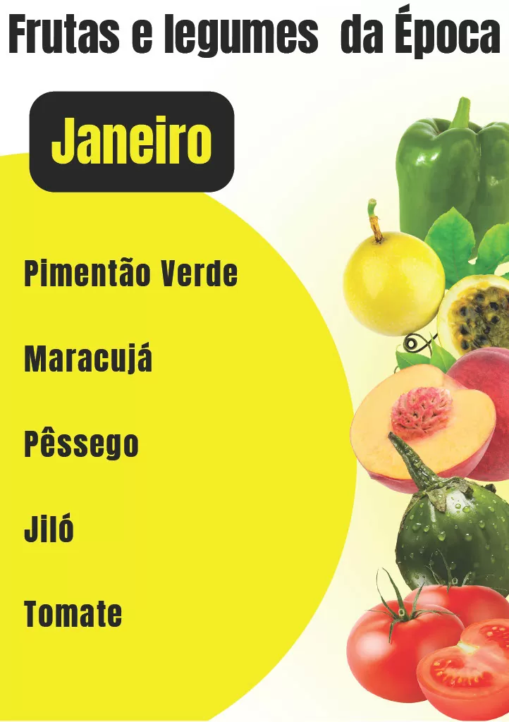 EBOOK - Guia da Feira - Image 4